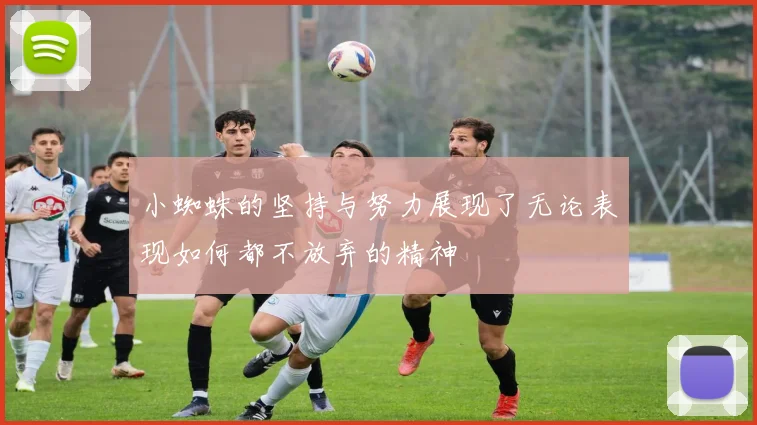 小蜘蛛的坚持与努力展现了无论表现如何都不放弃的精神